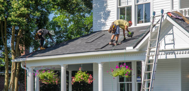 Roof Gutter Cleaning in Roswell, NM